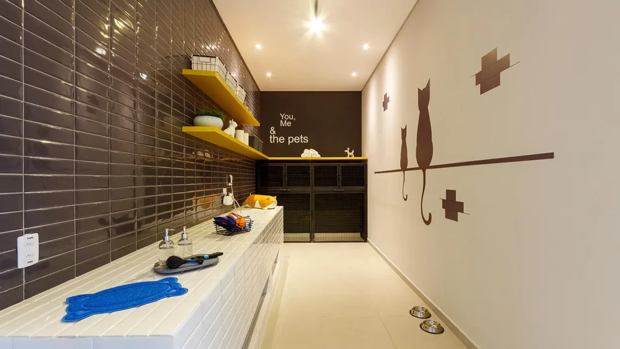 Pet care | Nex One Sena Madureira